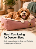 Cheinnchat CozyNest Premium Dog Bed | Stylish Pet Beds