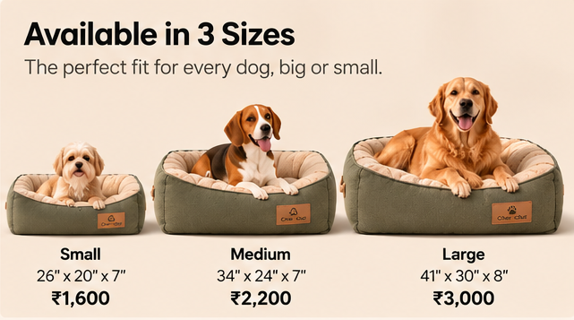 Cheinnchat CozyNest Premium Dog Bed | Stylish Pet Beds